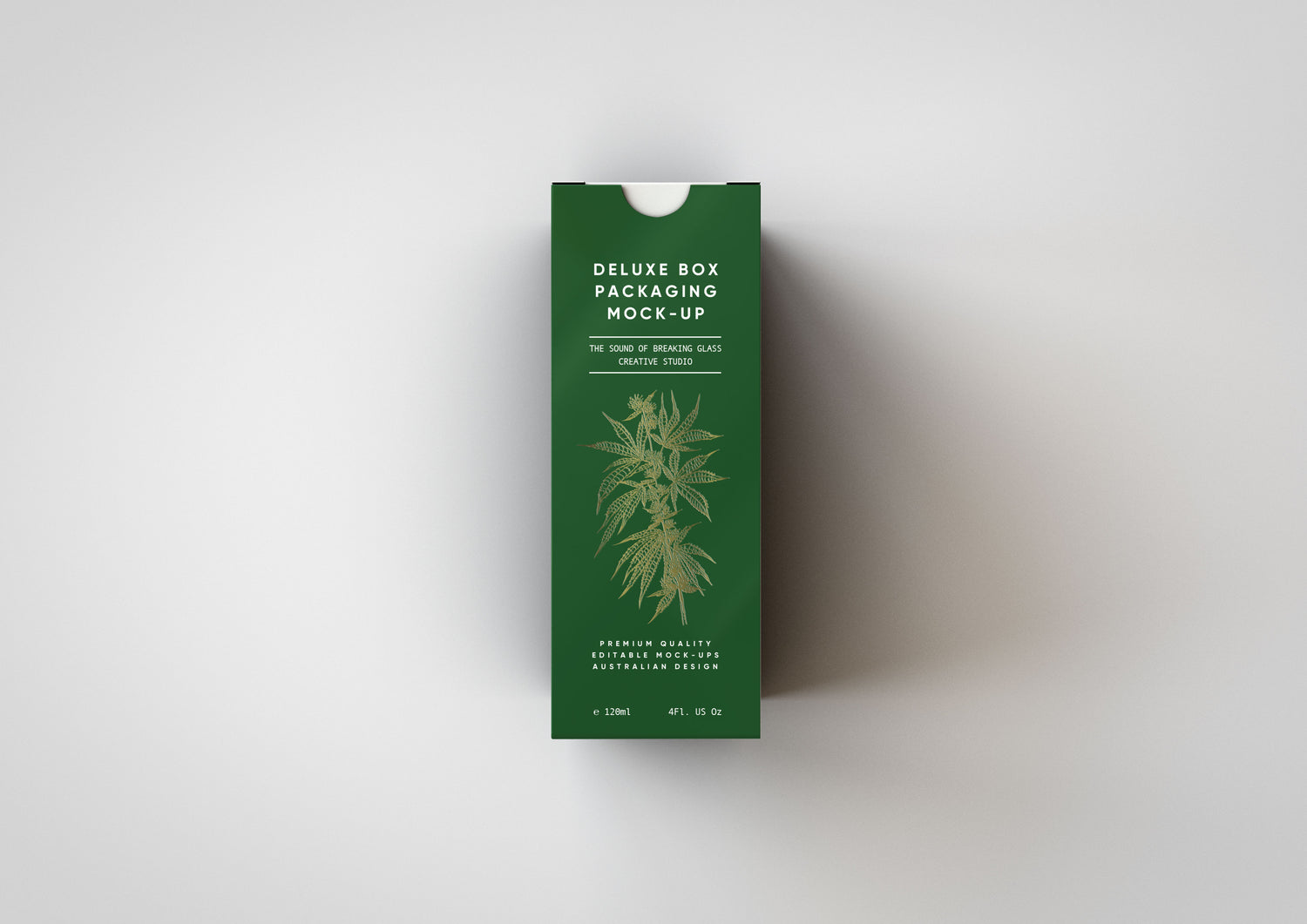 Deluxe Paper Box Mock-Up V2