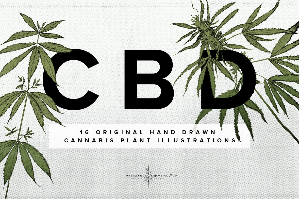 Hand Drawn Marijuana Cannabis Hemp Plant Illustrations CBD