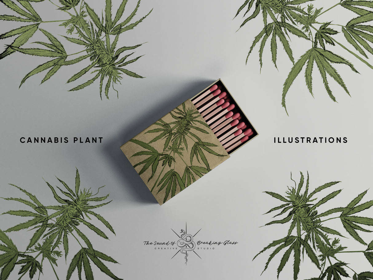 Hand Drawn Marijuana Cannabis Hemp Plant Illustrations CBD